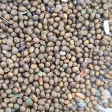 Load image into Gallery viewer, Red Campion - 2g - Goren Farm Seeds