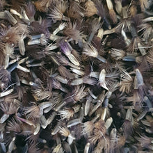 Load image into Gallery viewer, Greater Knapweed - 3g - Goren Farm Seeds
