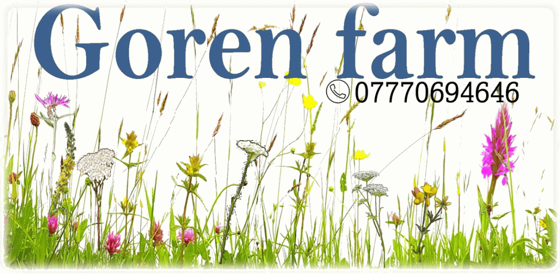 Goren Farm