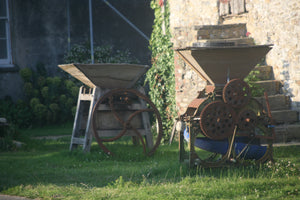 apple pressing service