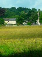 how to create a nature reserve - Goren Farm Seeds