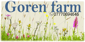 Goren Farm Seeds