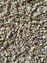 Load image into Gallery viewer, Quaking Grass - Goren Farm Seeds
