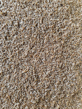 Load image into Gallery viewer, Crested dogs tail 20g - Goren Farm Seeds
