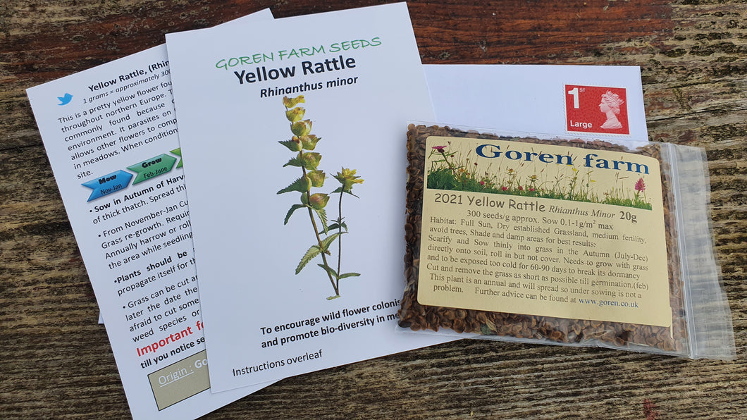 Yellow Rattle - Goren Farm Seeds