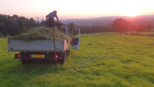 Load image into Gallery viewer, Green hay - Goren Farm Seeds
