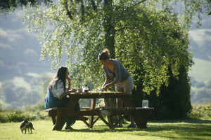 Cream Teas - Goren Farm Seeds