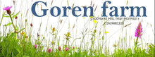 Load image into Gallery viewer, Yellow rattle lights - Goren Farm Seeds
